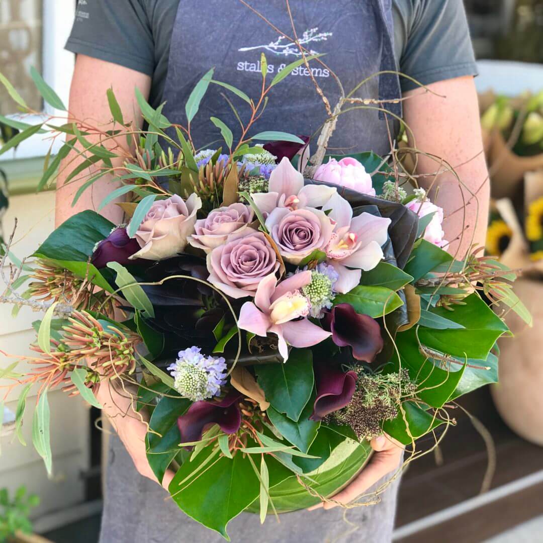 IMG_6560.jpg IMG_6560.jpg