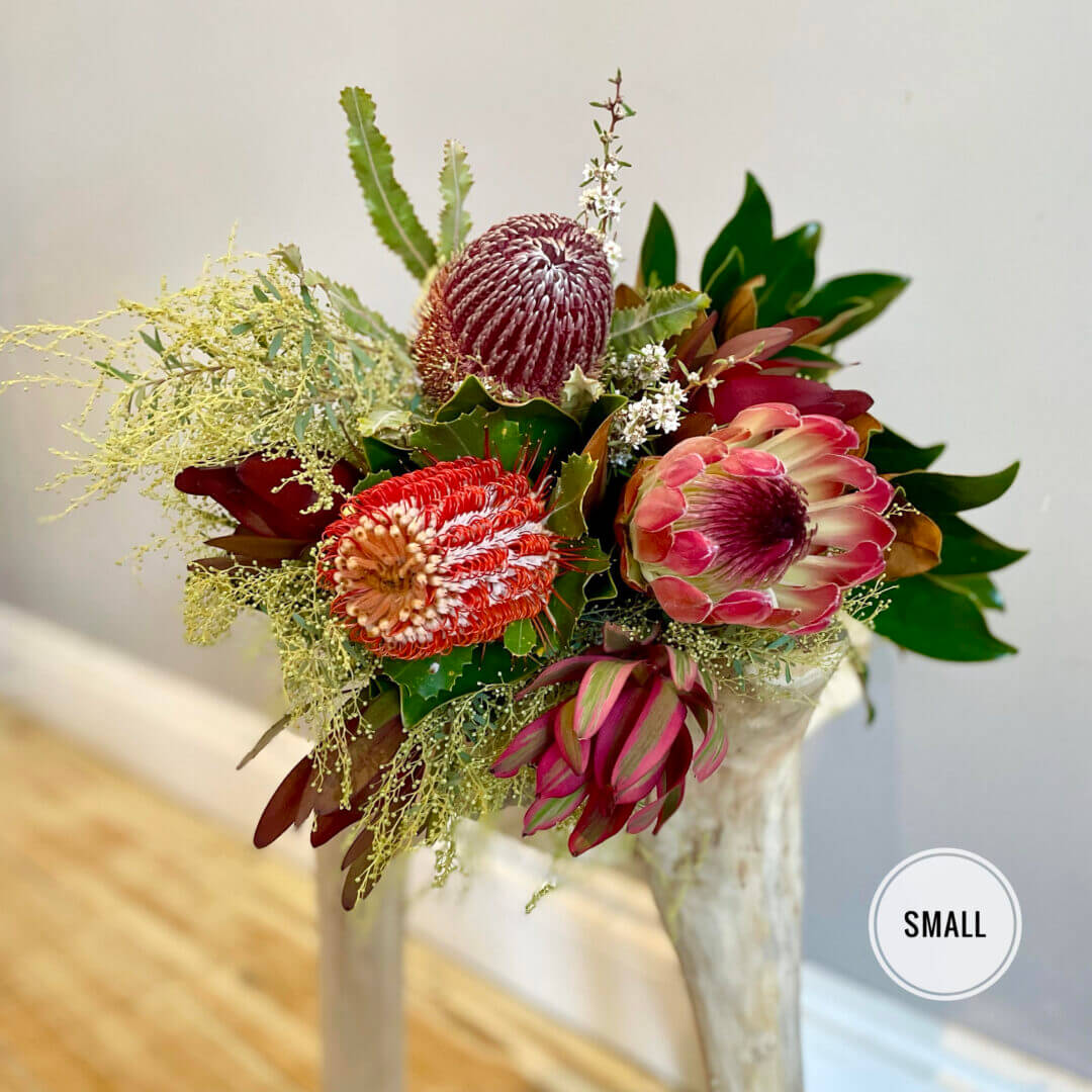 natives-1.jpg natives-1.jpg