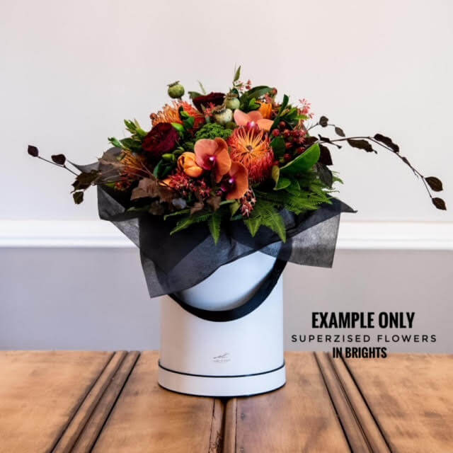 suersized-brights.jpg suersized-brights.jpg