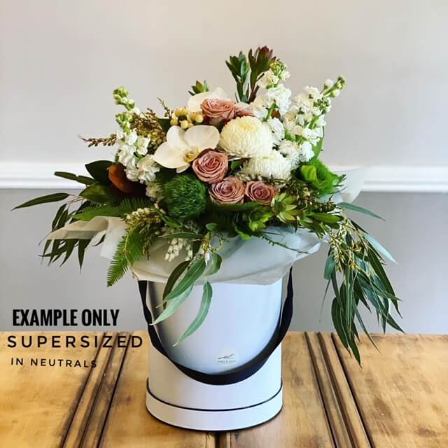 supersized-neutrals.jpg supersized-neutrals.jpg